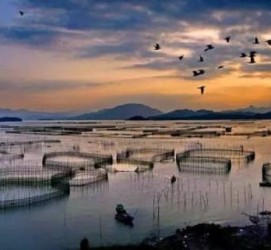 雅安伴游中国网景点丰富(旅游网介绍)
