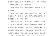 雅安旅游感想(张家界旅游感想)