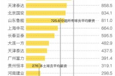 雅安关于伴游小丽中国足球的信息