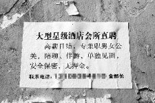 雅安珠海伴游雇用网(珠海游览社雇用信息)