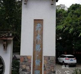 雅安关于伴游中国伴游你们伴得是什么游的信息
