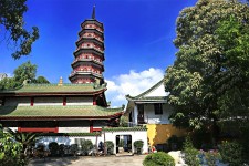 雅安广州自由行(广州 自由行)