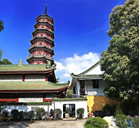雅安广州自由行(广州 自由行)