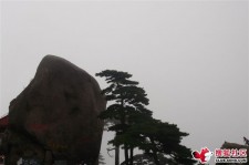 雅安上海伴游私家陪游雇用女模(上海伴游私家陪游雇用女模特)