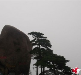 雅安上海伴游私家陪游雇用女模(上海伴游私家陪游雇用女模特)
