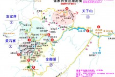 雅安旅游路线规划(旅游路线规划软件)