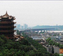 雅安武汉游玩攻略(武汉游玩攻略ppt)