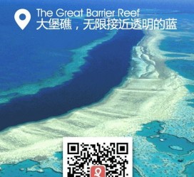 雅安中国250家旅行社结伴游新西兰(新西兰当地旅行社)