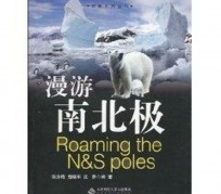 雅安游记攻略(ps西游记攻略)
