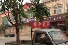 雅安上海伴游 用伴游造句大全(5