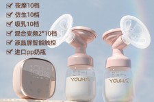 雅安奶模(奶模型)