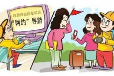 雅安伴游是什么