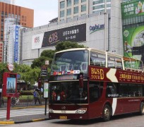雅安上海私人伴游 上海过年怎么玩？这些“微游”线路了解下→