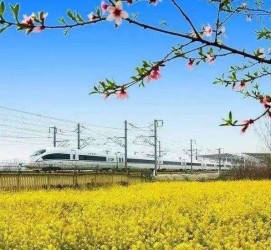 雅安高铁游(高铁游戏下载手机版)