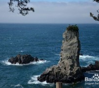雅安旅游全攻略(上海旅游全攻略)