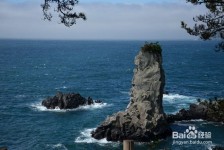 雅安旅游全攻略(上海旅游全攻略)