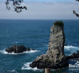 雅安旅游全攻略(上海旅游全攻略)