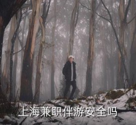 雅安上海私人伴游 上海伴游，上海兼职伴游安全吗