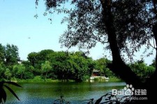 雅安西湖旅游攻略(上海到杭州西湖旅游攻略)