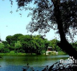 雅安西湖旅游攻略(上海到杭州西湖旅游攻略)