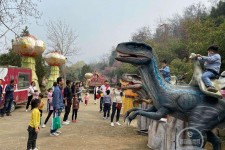 雅安中国伴游带你打卡网红南山竹海(南山竹海网上预约)