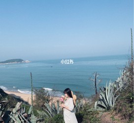 雅安厦门周边游(厦门及周边旅游攻略)