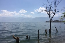 雅安洱海旅游攻略(洱海旅游攻略自由行)