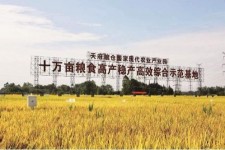 雅安关于成都商务伴游外围雇用的信息