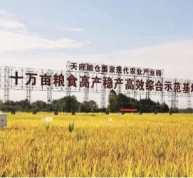 雅安关于成都商务伴游外围雇用的信息