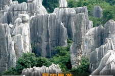 雅安贵阳市游览社英语伴游雇用(贵阳市前十名游览社是哪几家)
