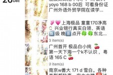 雅安外围伴游雇用圈套(雇用伴游什么样子的是实的)