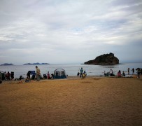 雅安五日游(五日游戏)