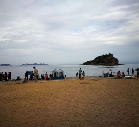 雅安五日游(五日游戏)