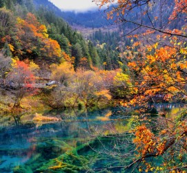 雅安四川旅游攻略(四川旅游攻略十五日游)