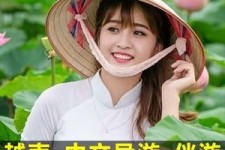 雅安日本关东伴游中国(日本关西旅行)