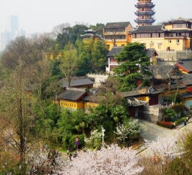 雅安南京周边游(南京周边游景点大全 自驾车旅游)