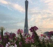 雅安广州旅游攻略(杭州到广州旅游攻略)