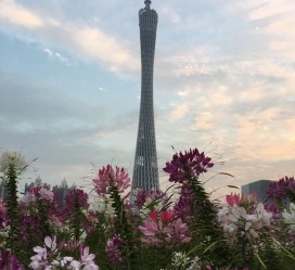 雅安广州旅游攻略(杭州到广州旅游攻略)