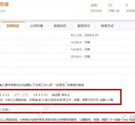 雅安出国伴游雇用(全国高薪雇用伴游)