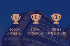 雅安上海私人伴游 ​ “小而美”的新时代：2020年国内新跟团消费报告