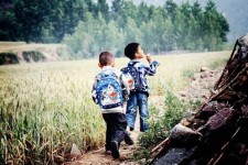 雅安河南一家四口结伴游中国2个月(河南适合一家四口旅游的地方)