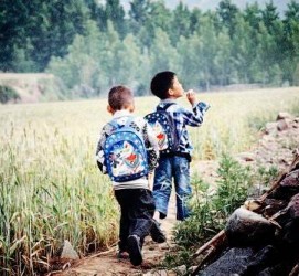 雅安河南一家四口结伴游中国2个月(河南适合一家四口旅游的地方)