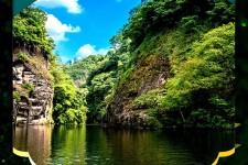 雅安旅游报价(旅行团旅游报价)
