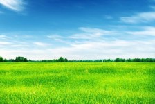 雅安上海伴游 上海模特伴游微信号的交友宣言
