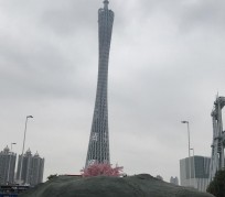 雅安广州游玩攻略(广州游玩攻略景点大全免费)