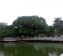 雅安福州旅游攻略(福州旅游攻略二日游)