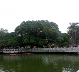 雅安福州旅游攻略(福州旅游攻略二日游)