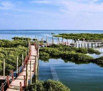 雅安旅游哪里好玩(云南旅游哪里好玩)