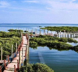 雅安旅游哪里好玩(云南旅游哪里好玩)