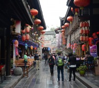 雅安成都自助游(成都自助游住哪里方便)
